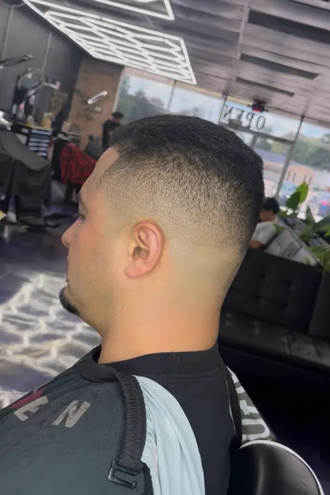 Alpha League haircut portfolio 12